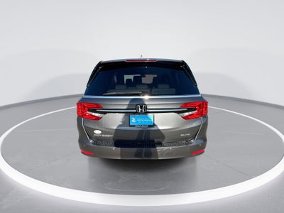 2024 Honda Odyssey Elite